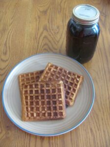 Yogurt Waffles Image